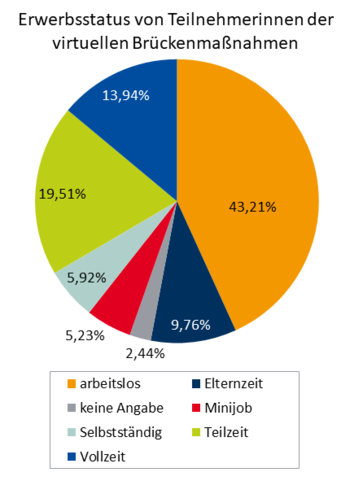 Teilnehmerinnen virtuelle Brückenmaßnahmen